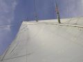 p7200020.jpg